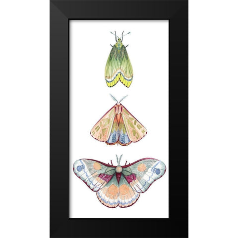 Moth Fairies II Black Modern Wood Framed Art Print by Popp, Grace