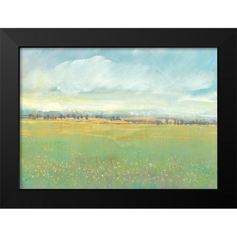 Soft Meadow Light II Black Modern Wood Framed Art Print by OToole, Tim