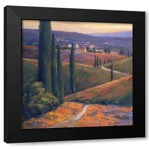 Afternoon I Black Modern Wood Framed Art Print by Stevens, Allayn