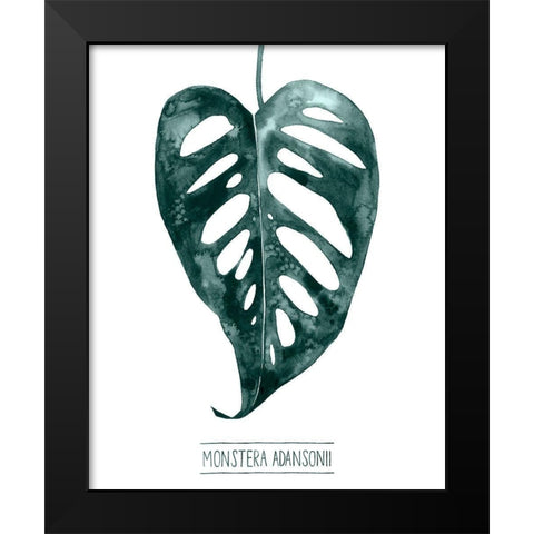 Gemstone Tropicale III Black Modern Wood Framed Art Print by Popp, Grace