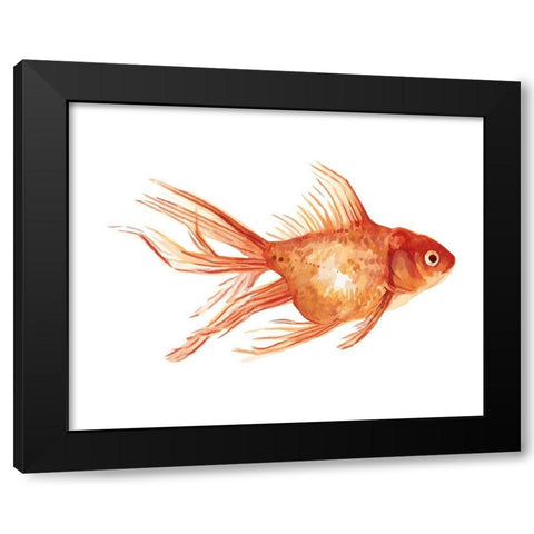 Ornamental Goldfish II Black Modern Wood Framed Art Print with Double Matting by Scarvey, Emma