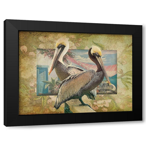 Pelican Paradise IV Black Modern Wood Framed Art Print with Double Matting by Hunziker, Steve