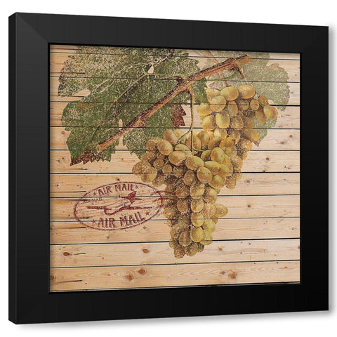 Grape Crate II Black Modern Wood Framed Art Print with Double Matting by Nobleworks Inc.