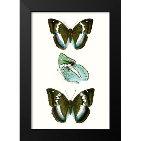 Butterfly Specimen II Black Modern Wood Framed Art Print by Vision Studio