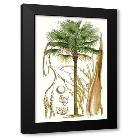 Curtis Palms I Black Modern Wood Framed Art Print by Curtis