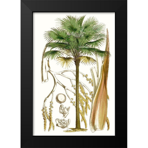 Curtis Palms I Black Modern Wood Framed Art Print by Curtis