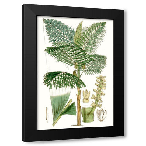 Curtis Palms II Black Modern Wood Framed Art Print by Curtis