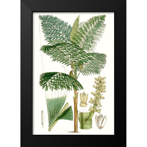 Curtis Palms II Black Modern Wood Framed Art Print by Curtis