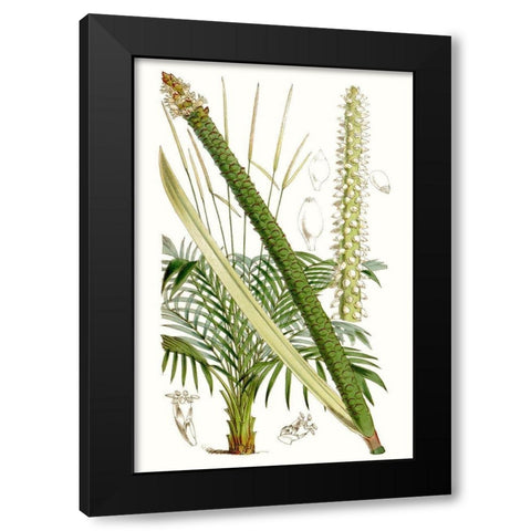 Curtis Palms III Black Modern Wood Framed Art Print by Curtis