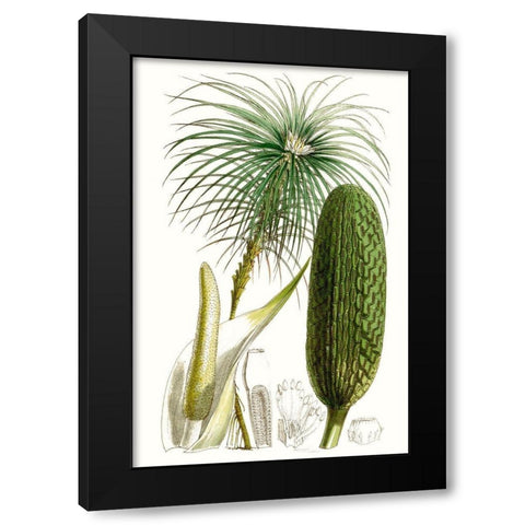 Curtis Palms IV Black Modern Wood Framed Art Print with Double Matting by Curtis