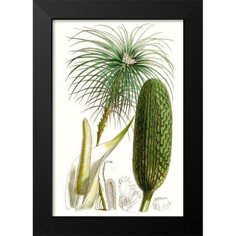 Curtis Palms IV Black Modern Wood Framed Art Print by Curtis