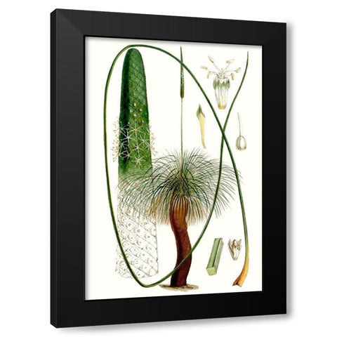 Curtis Palms V Black Modern Wood Framed Art Print with Double Matting by Curtis