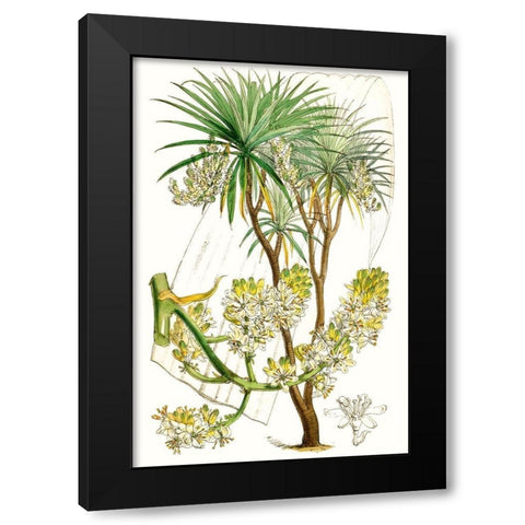 Curtis Palms VI Black Modern Wood Framed Art Print with Double Matting by Curtis