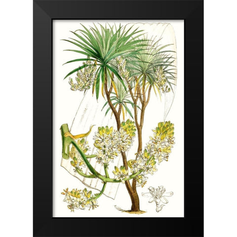 Curtis Palms VI Black Modern Wood Framed Art Print by Curtis