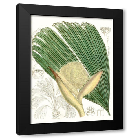 Palm Melange II Black Modern Wood Framed Art Print by Curtis