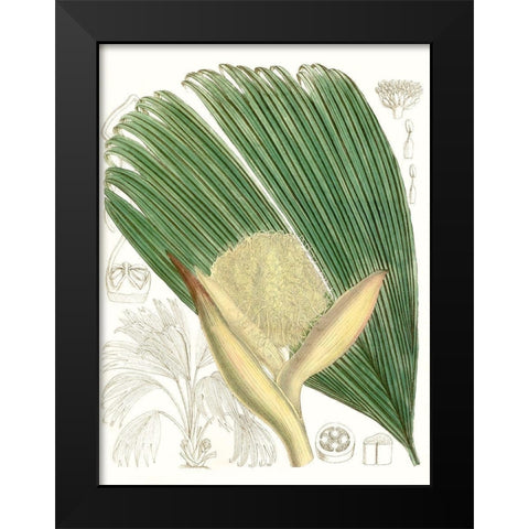 Palm Melange II Black Modern Wood Framed Art Print by Curtis