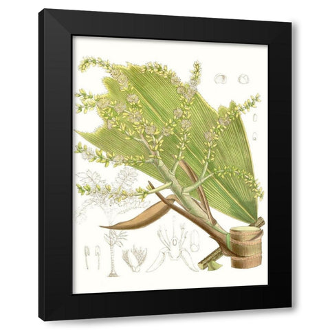 Palm Melange III Black Modern Wood Framed Art Print with Double Matting by Curtis