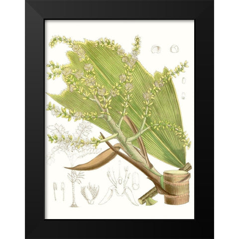 Palm Melange III Black Modern Wood Framed Art Print by Curtis