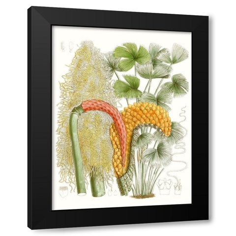 Palm Melange IV Black Modern Wood Framed Art Print with Double Matting by Curtis