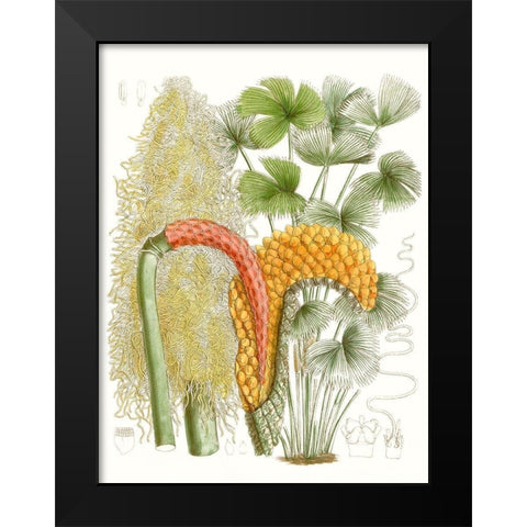 Palm Melange IV Black Modern Wood Framed Art Print by Curtis