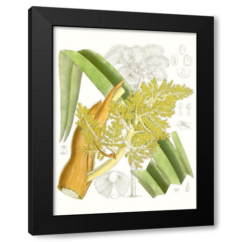 Palm Melange V Black Modern Wood Framed Art Print with Double Matting by Curtis