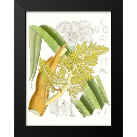 Palm Melange V Black Modern Wood Framed Art Print by Curtis