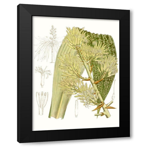 Palm Melange VI Black Modern Wood Framed Art Print with Double Matting by Curtis