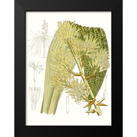 Palm Melange VI Black Modern Wood Framed Art Print by Curtis