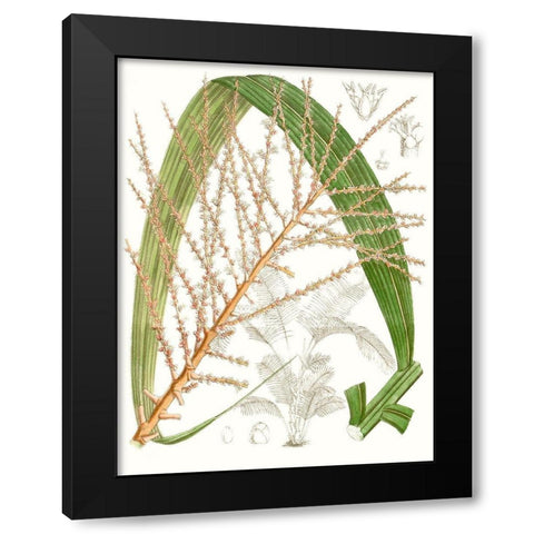Palm Melange VII Black Modern Wood Framed Art Print with Double Matting by Curtis