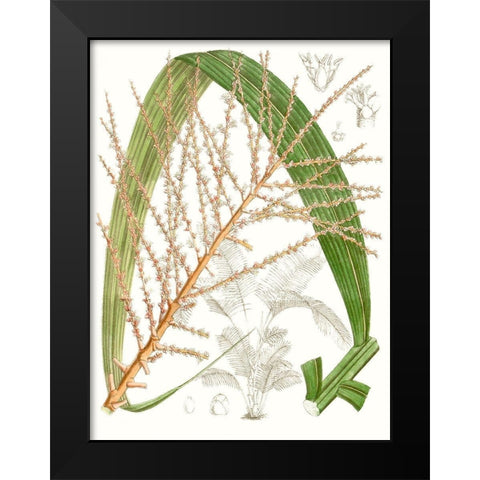 Palm Melange VII Black Modern Wood Framed Art Print by Curtis