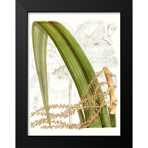 Palm Melange VIII Black Modern Wood Framed Art Print by Curtis