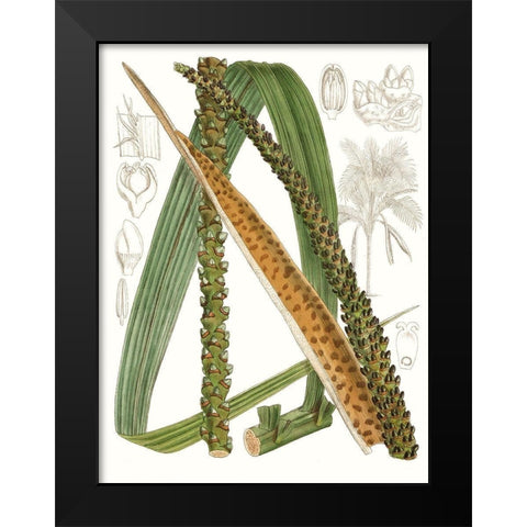 Palm Melange IX Black Modern Wood Framed Art Print by Curtis