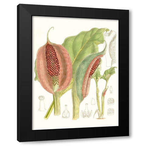 Tropical Variety VI Black Modern Wood Framed Art Print by Curtis