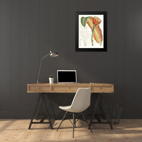 Tropical Variety VII Black Modern Wood Framed Art Print by Curtis