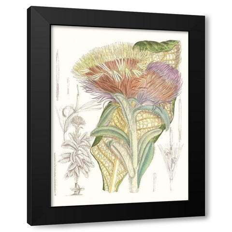 Tropical Variety IX Black Modern Wood Framed Art Print by Curtis