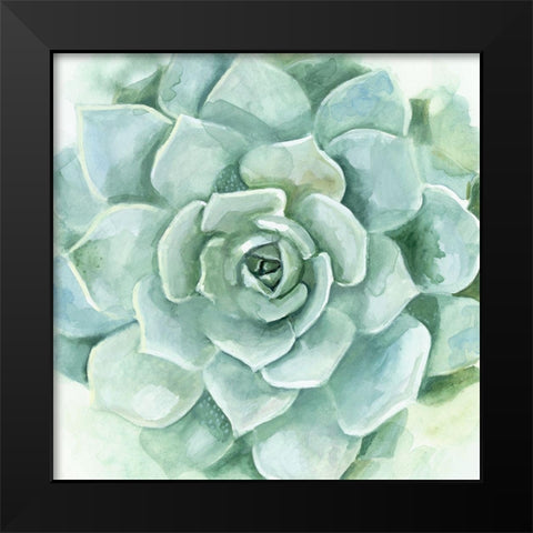 Verdant Succulent I Black Modern Wood Framed Art Print by Borges, Victoria
