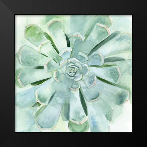 Verdant Succulent IV Black Modern Wood Framed Art Print by Borges, Victoria