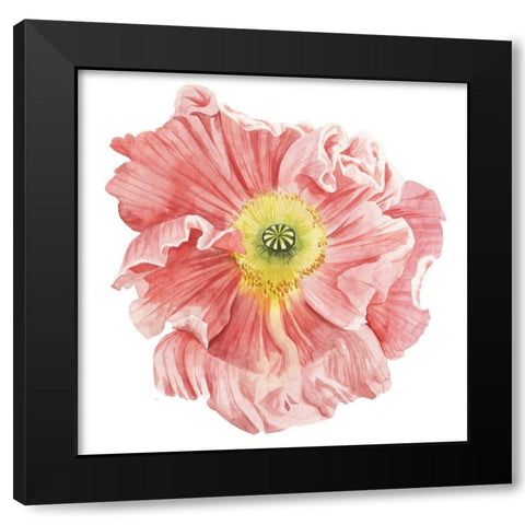 Market Poppy I Black Modern Wood Framed Art Print by Popp, Grace