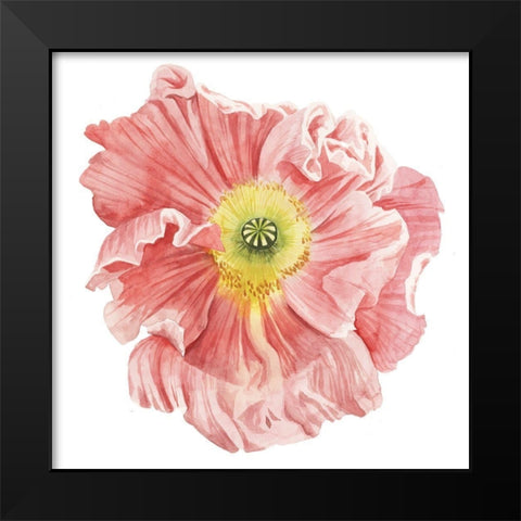 Market Poppy I Black Modern Wood Framed Art Print by Popp, Grace