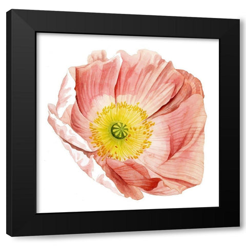 Market Poppy II Black Modern Wood Framed Art Print by Popp, Grace
