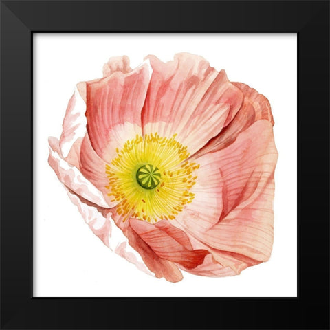 Market Poppy II Black Modern Wood Framed Art Print by Popp, Grace