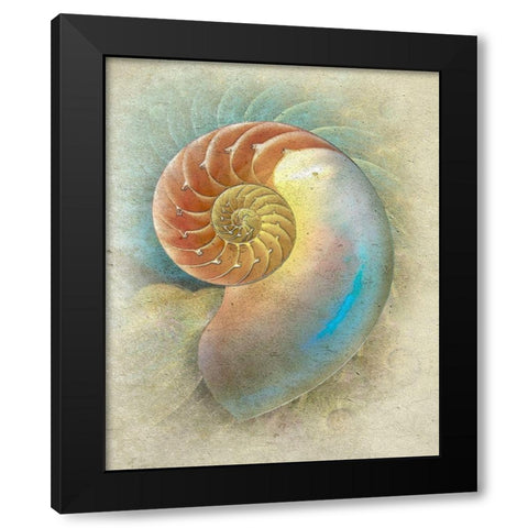 Aquatica II Black Modern Wood Framed Art Print with Double Matting by Hunziker, Steve