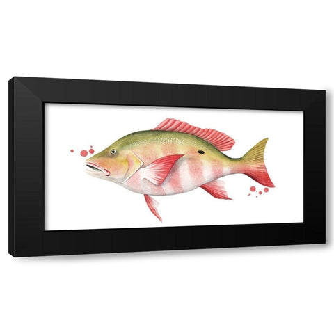 Chromatic Catch II Black Modern Wood Framed Art Print with Double Matting by Popp, Grace
