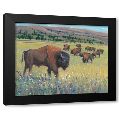 Animals of the West I Black Modern Wood Framed Art Print with Double Matting by OToole, Tim