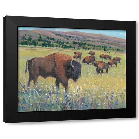 Animals of the West I Black Modern Wood Framed Art Print by OToole, Tim