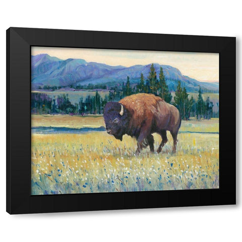 Animals of the West II Black Modern Wood Framed Art Print by OToole, Tim