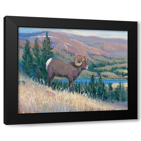 Animals of the West III Black Modern Wood Framed Art Print by OToole, Tim