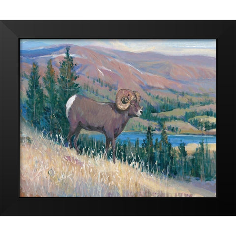 Animals of the West III Black Modern Wood Framed Art Print by OToole, Tim