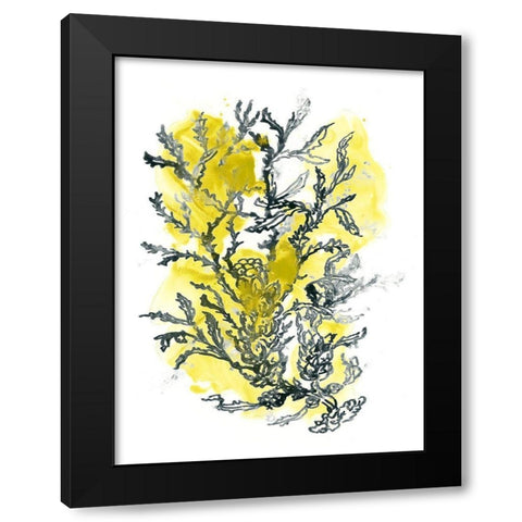 Citron Sea Kelp II Black Modern Wood Framed Art Print by Vess, June Erica