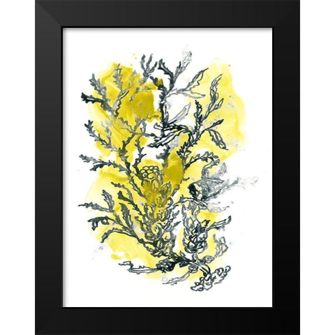 Citron Sea Kelp II Black Modern Wood Framed Art Print by Vess, June Erica